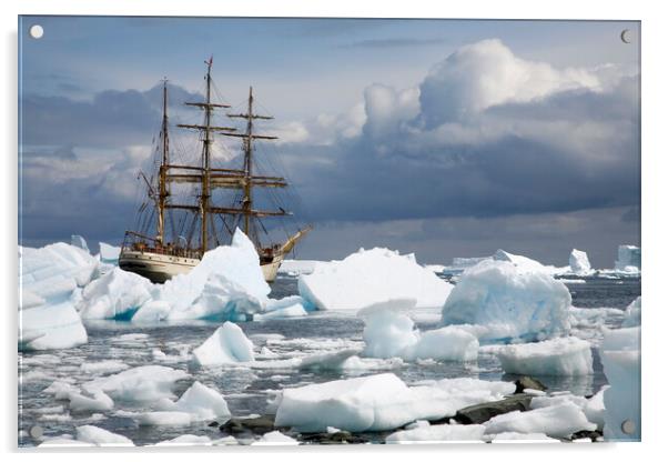 Tallship Europa in Antarctica Acrylic by Arterra 