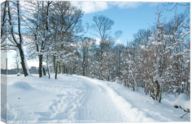 Snowy track in Graves Park Sheffield Canvas Print by Richard Ashbee