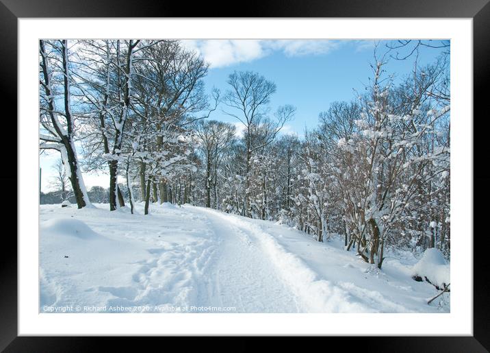 Snowy track in Graves Park Sheffield Framed Mounted Print by Richard Ashbee
