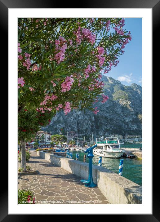 LAKE GARDA Harbour & Riverside in Limone sul Garda Framed Mounted Print by Melanie Viola