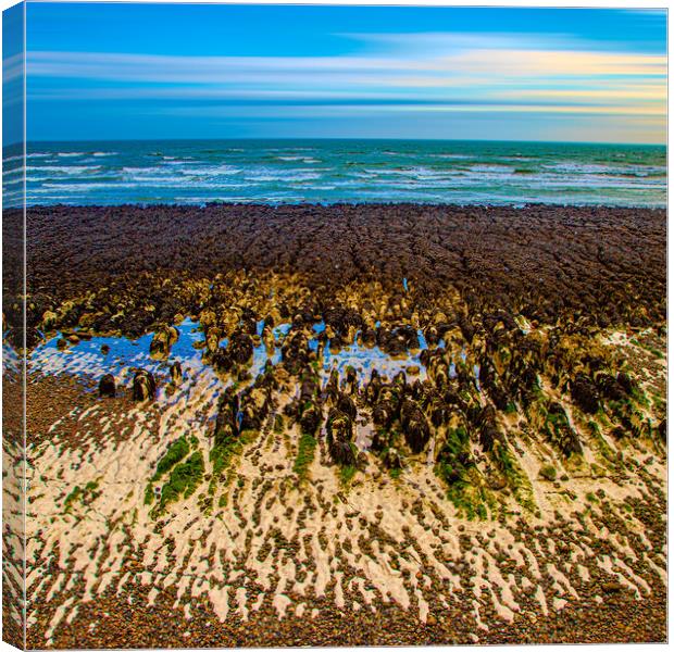 Rottingdean Beach Abstract Canvas Print by Chris Lord