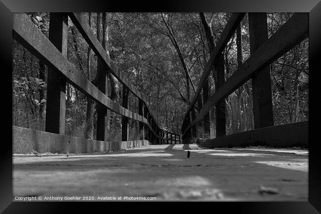 Natures Walkway Framed Print by Anthony Goehler