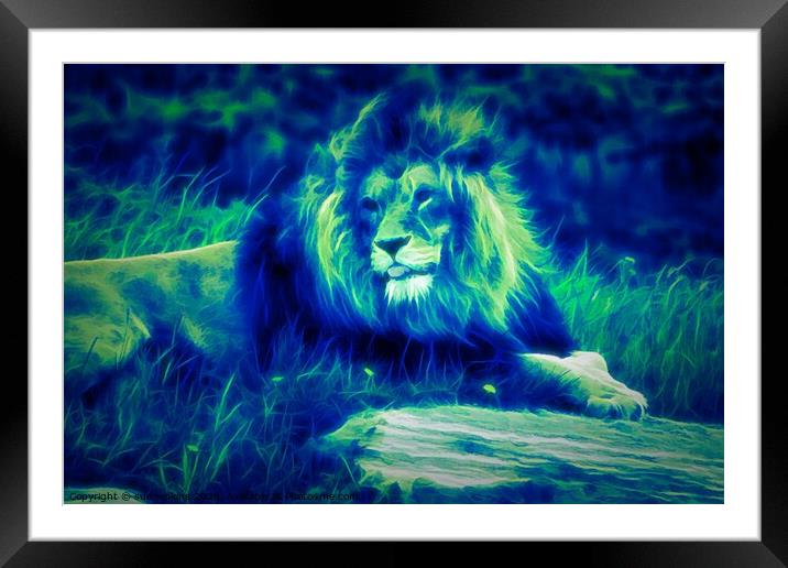Big Cat Framed Mounted Print by sue jenkins