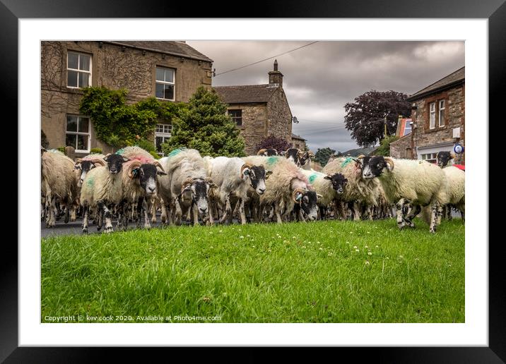 Sheep drive Framed Mounted Print by kevin cook