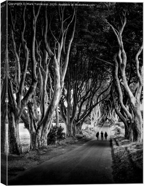 Walking the Kings Road Canvas Print by Mark Tomlinson