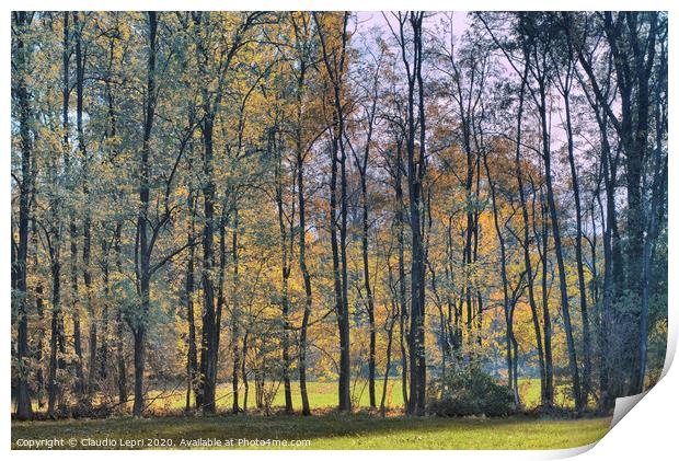 Autumnal plant tree screen Print by Claudio Lepri