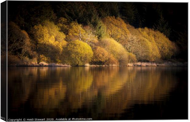 Llwyn Onn Reservoir Reflections Canvas Print by Heidi Stewart