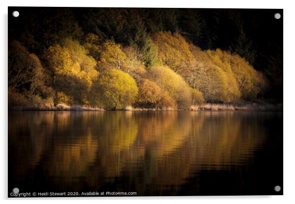 Llwyn Onn Reservoir Reflections Acrylic by Heidi Stewart