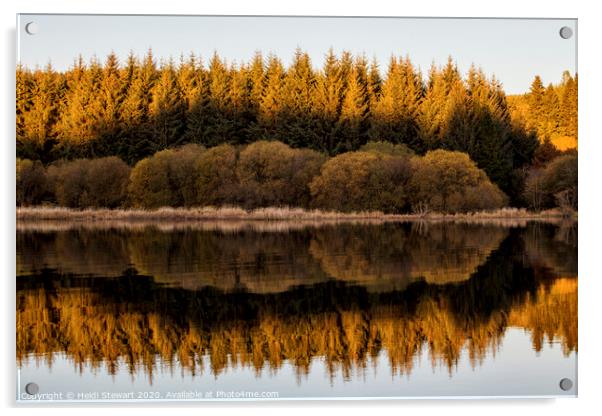 Llwyn Onn Reservoir Autumnal Reflections Acrylic by Heidi Stewart