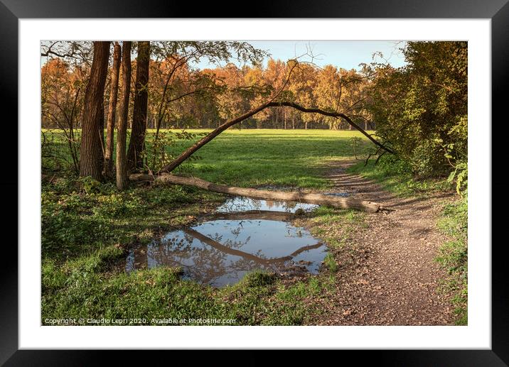 Pathway in the wood Framed Mounted Print by Claudio Lepri