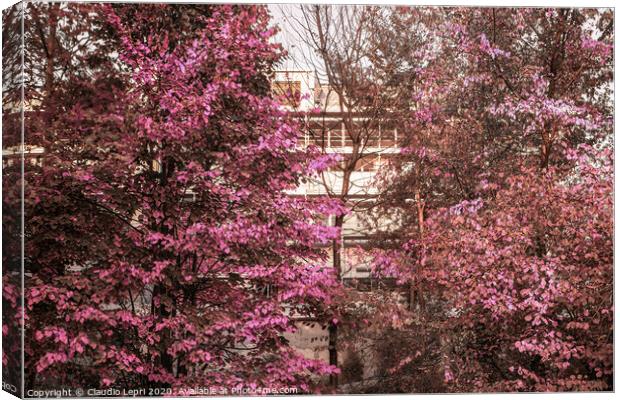 Imaginative picture with pink foliage and straight lines Canvas Print by Claudio Lepri