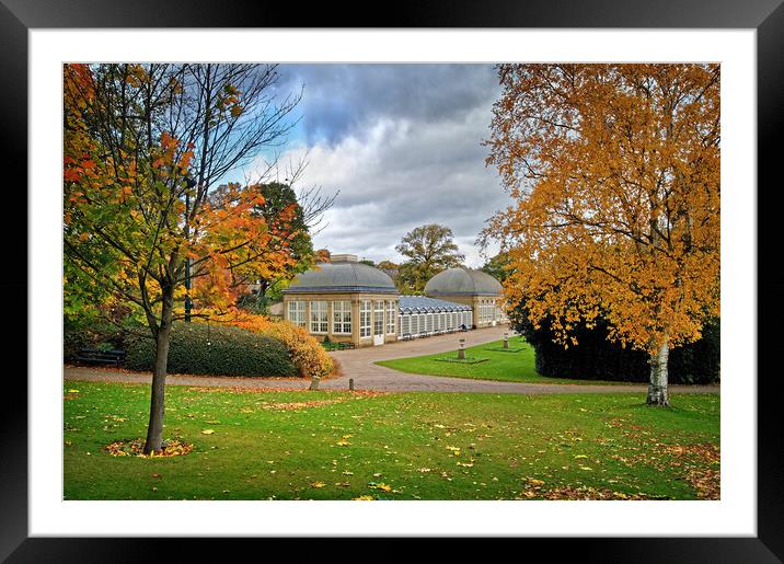 Sheffield Botanical Gardens in Autumn              Framed Mounted Print by Darren Galpin
