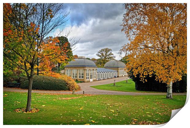 Sheffield Botanical Gardens in Autumn              Print by Darren Galpin
