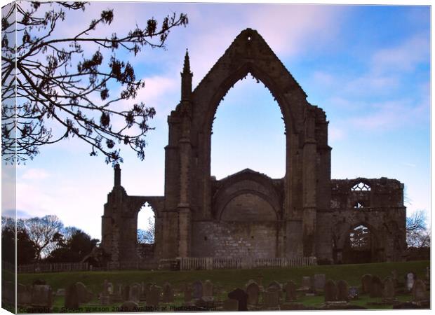 Bolton Priory Canvas Print by Steven Watson