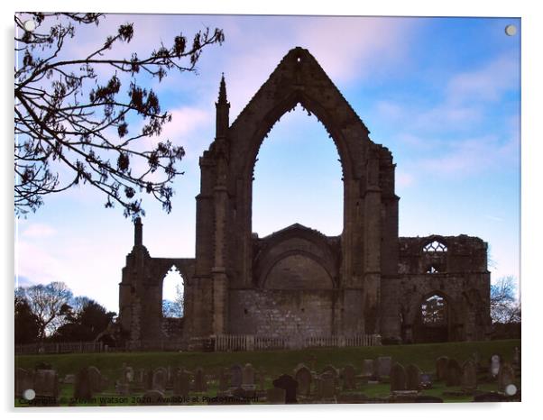Bolton Priory Acrylic by Steven Watson