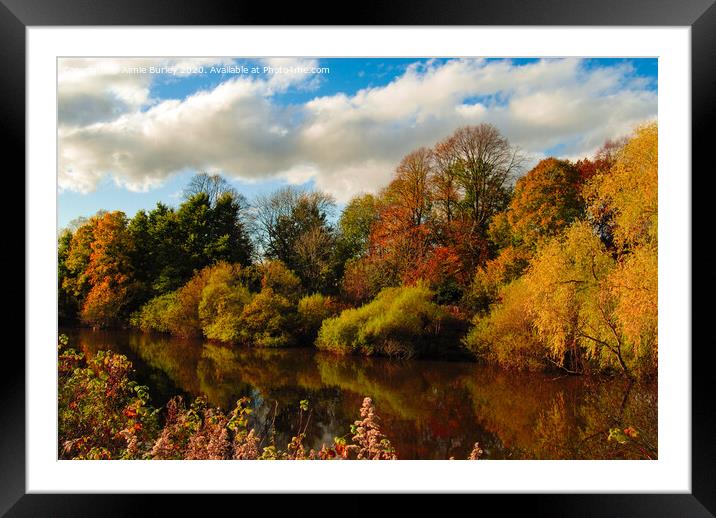 River reflections  Framed Mounted Print by Aimie Burley