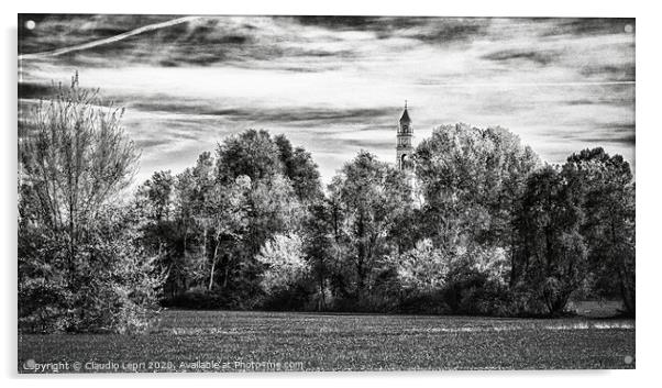 Trees and one bell tower in black and white Acrylic by Claudio Lepri