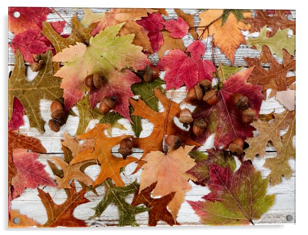 Filled frame format of seasonal leaves and acorn decorations for the happy thanksgiving holiday  Acrylic by Thomas Baker