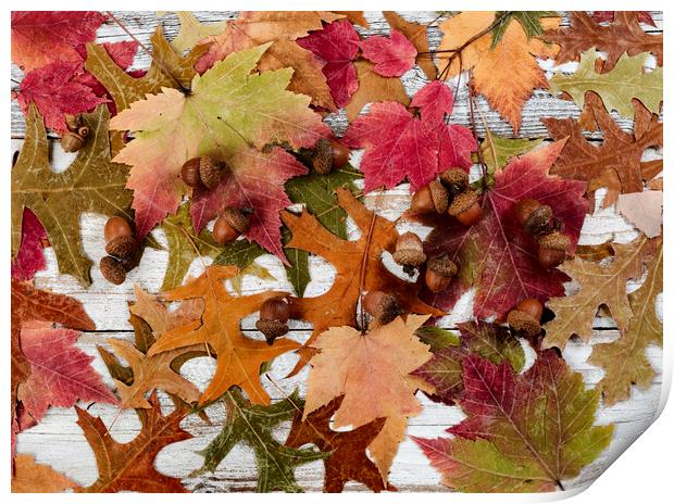 Filled frame format of seasonal leaves and acorn decorations for the happy thanksgiving holiday  Print by Thomas Baker