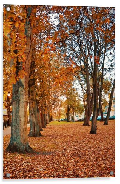 Autumn Acrylic by Sam Owen