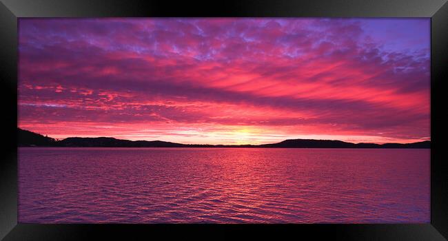 Magenta coloured  Sunrise Seascape Panorama. Framed Print by Geoff Childs