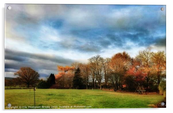Autumn weather Acrylic by Cris Thompson-Brooks