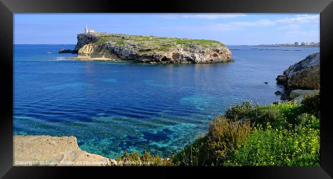 St Pauls Island Malta View Framed Print by Diana Mower