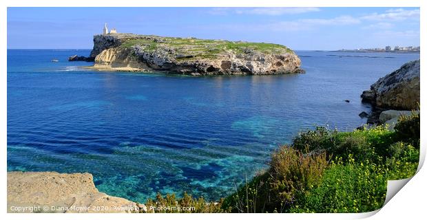 St Pauls Island Malta View Print by Diana Mower