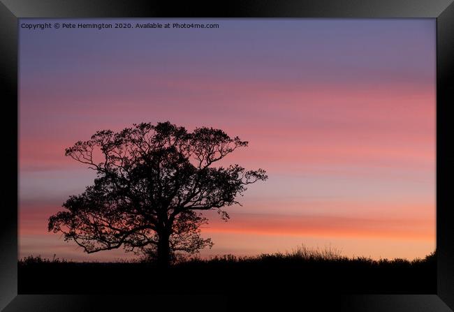 Tree silhouette at sunset Framed Print by Pete Hemington
