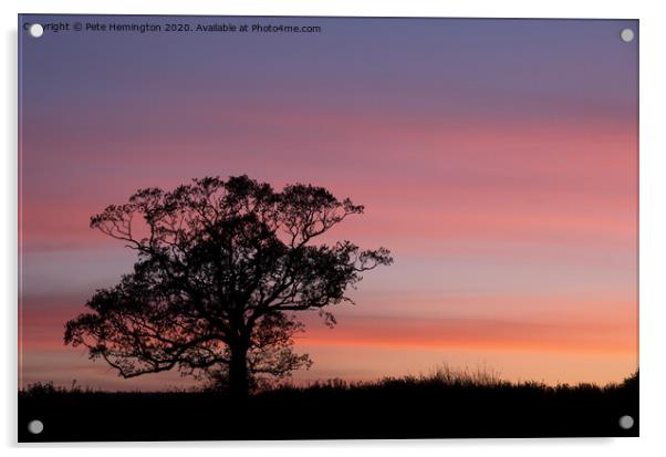 Tree silhouette at sunset Acrylic by Pete Hemington