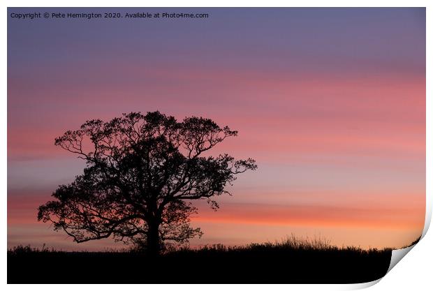 Tree silhouette at sunset Print by Pete Hemington