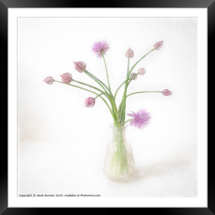 Chives Framed Mounted Print by Janet Burdon