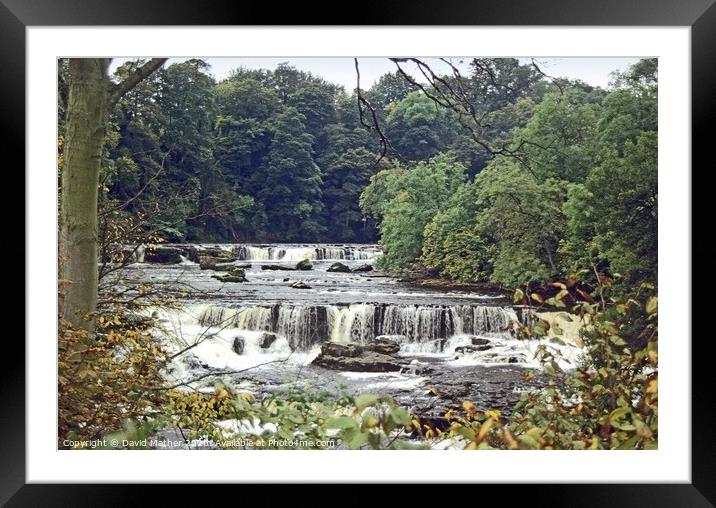Aysgarth Falls, North Yorkshire Framed Mounted Print by David Mather