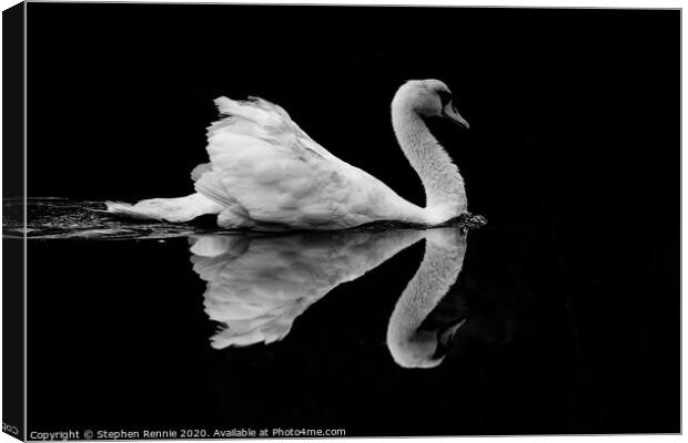 Symmetric Black & White Swan Reflection Canvas Print by Stephen Rennie