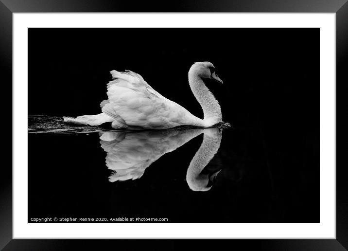 Symmetric Black & White Swan Reflection Framed Mounted Print by Stephen Rennie