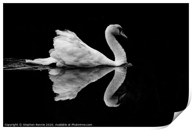 Symmetric Black & White Swan Reflection Print by Stephen Rennie