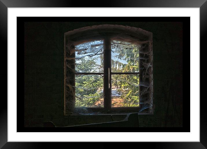 Cobwebs window Framed Mounted Print by Nathan Wright