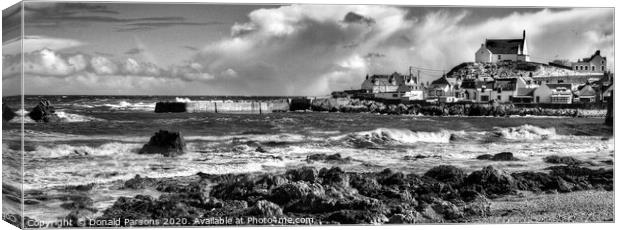 Findochty on Moray Firth Canvas Print by Donald Parsons