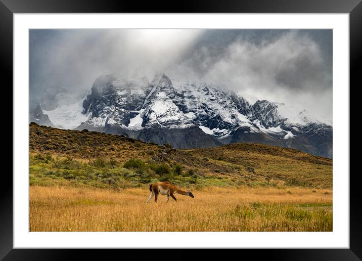Torres del Paine Framed Mounted Print by Sandra Kepkowska