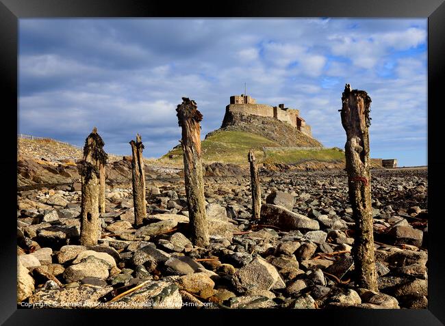 Lindesfarne Castle, Holy Isle Framed Print by Donald Parsons