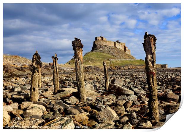 Lindesfarne Castle, Holy Isle Print by Donald Parsons