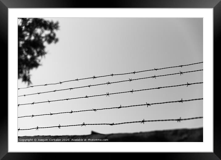 A wall with an old barbed wire line to prevent theft. Framed Mounted Print by Joaquin Corbalan