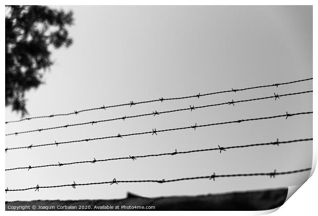 A wall with an old barbed wire line to prevent theft. Print by Joaquin Corbalan