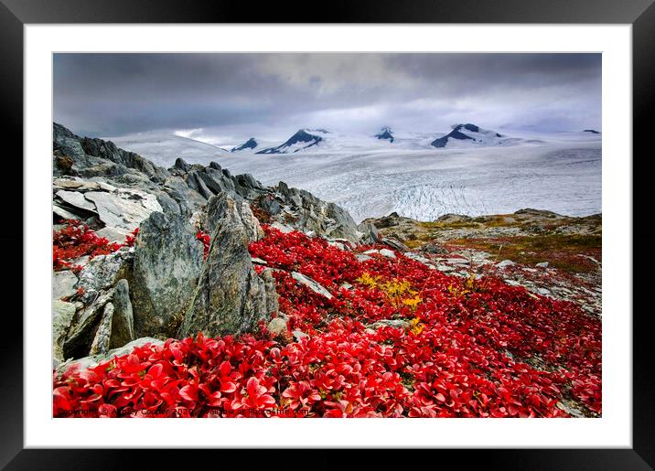 Alaskan ice field. Framed Mounted Print by Ashley Cooper