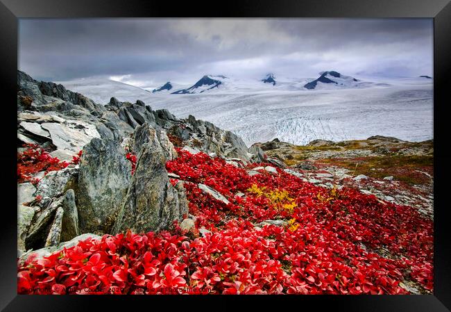 Alaskan ice field. Framed Print by Ashley Cooper