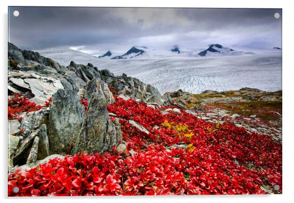 Alaskan ice field. Acrylic by Ashley Cooper