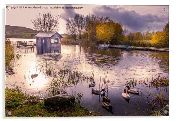 Ducks Llangorse Lake Acrylic by Joel Woodward