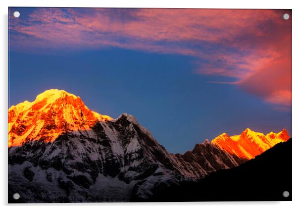 Alpenglow Himalayas Acrylic by Ashley Cooper