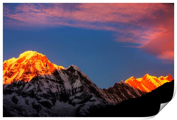 Alpenglow Himalayas Print by Ashley Cooper