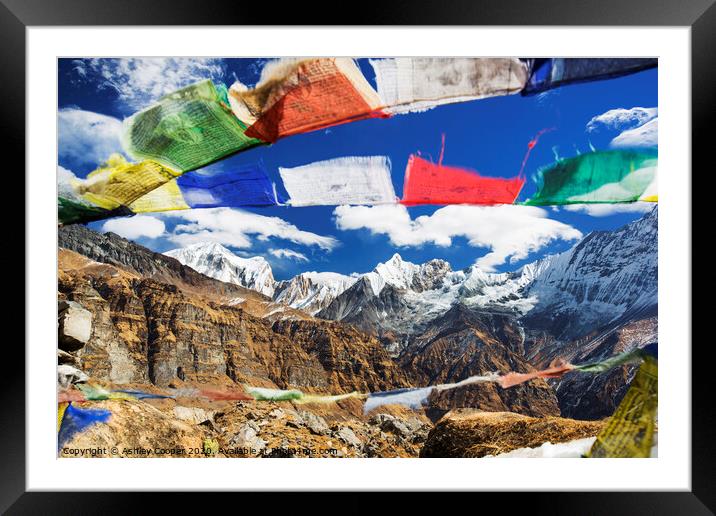 Prayer flags Framed Mounted Print by Ashley Cooper